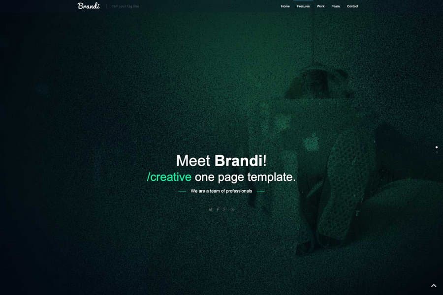 Brandi Bootstrap template