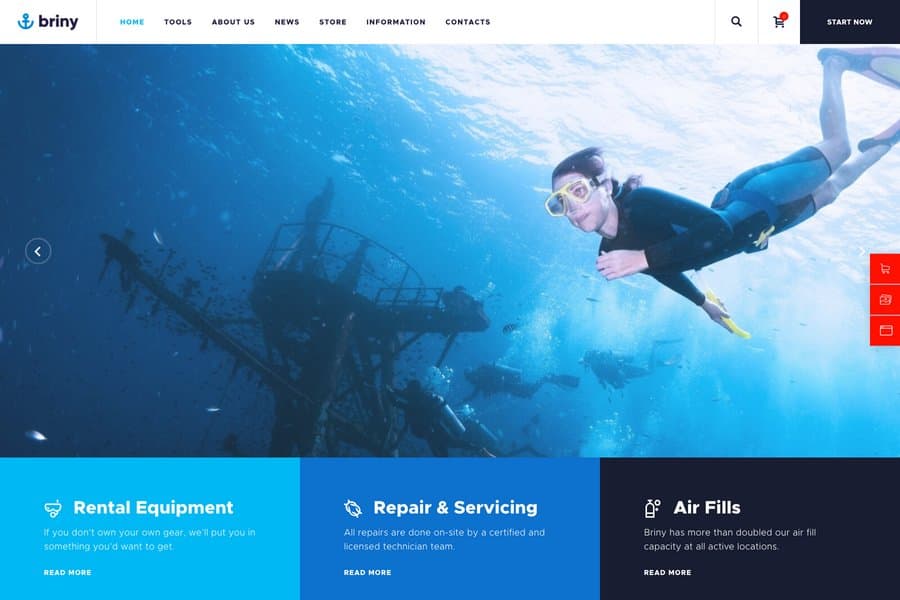 Briny - Responsive Tourism Website Template