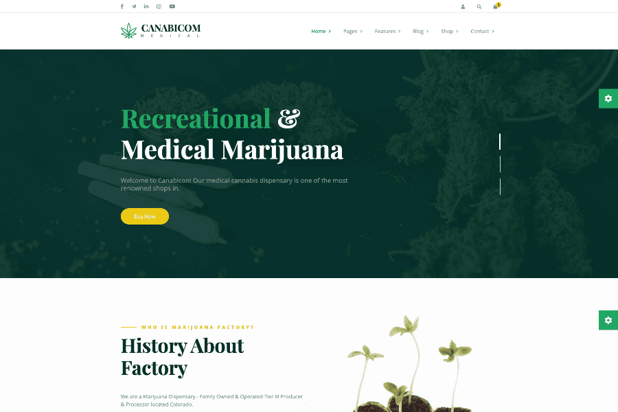 Herbal Medicin and Clinic Templates