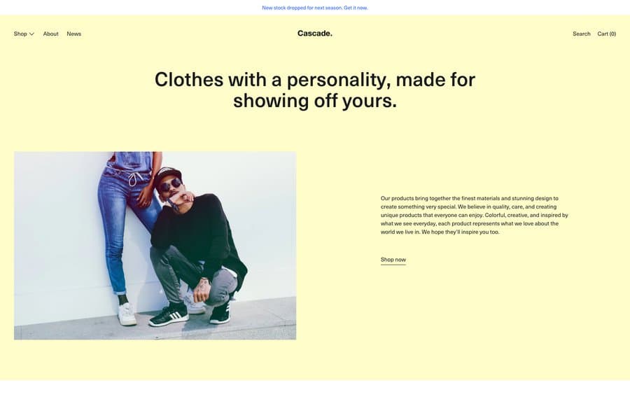 Best shopify themes