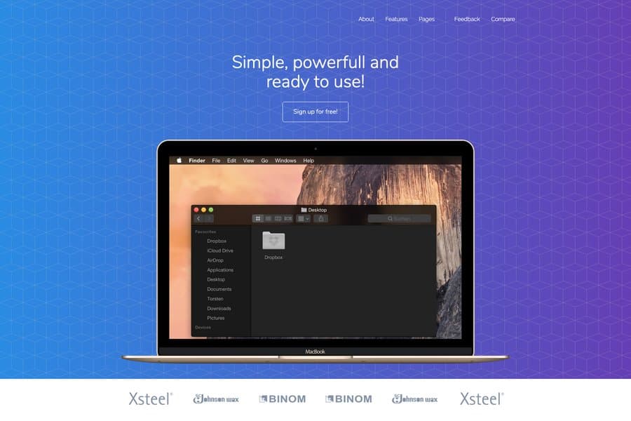 free landing page for software and it company