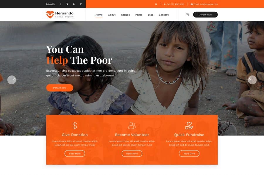 hahrnando professional ngo website template