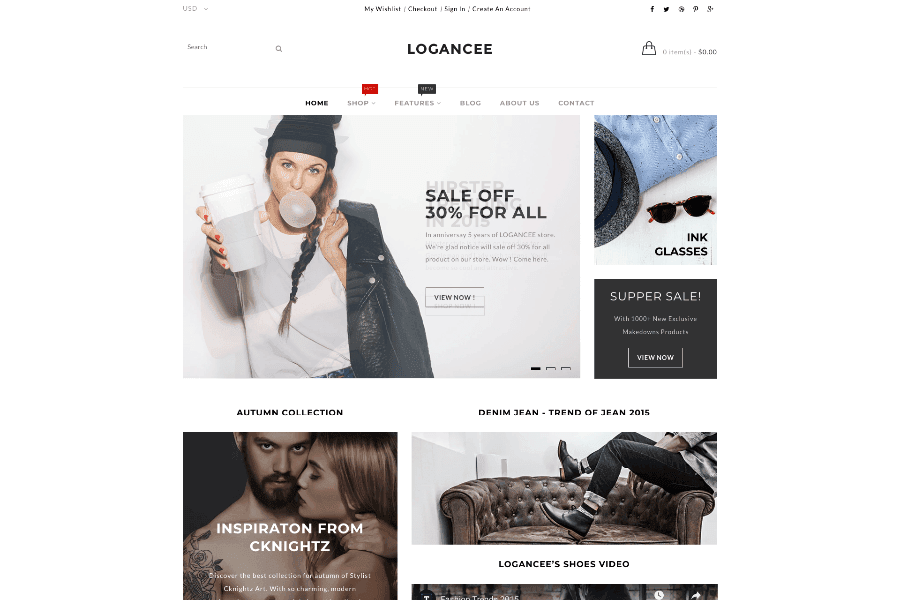 modern design Shopify e-commerce Template