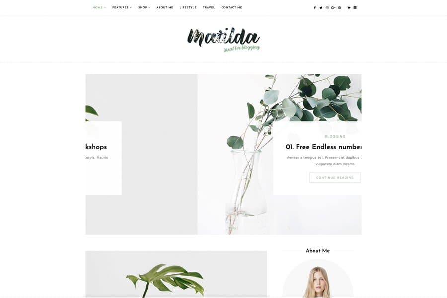 Matilda - Responsive Bootstrap Blog templates