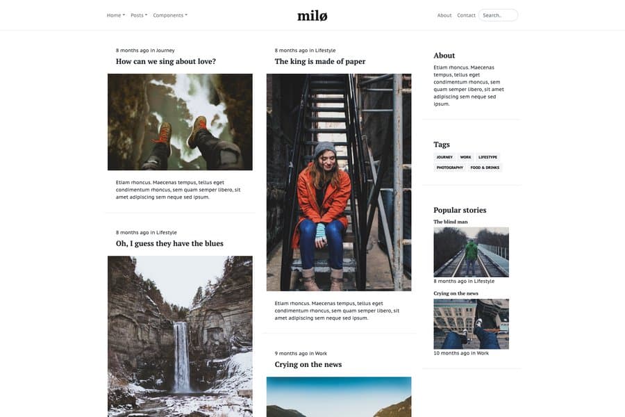 Milo - bootstrap blog templates