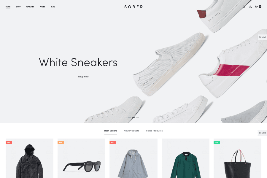 Modern WP eCommerce theme